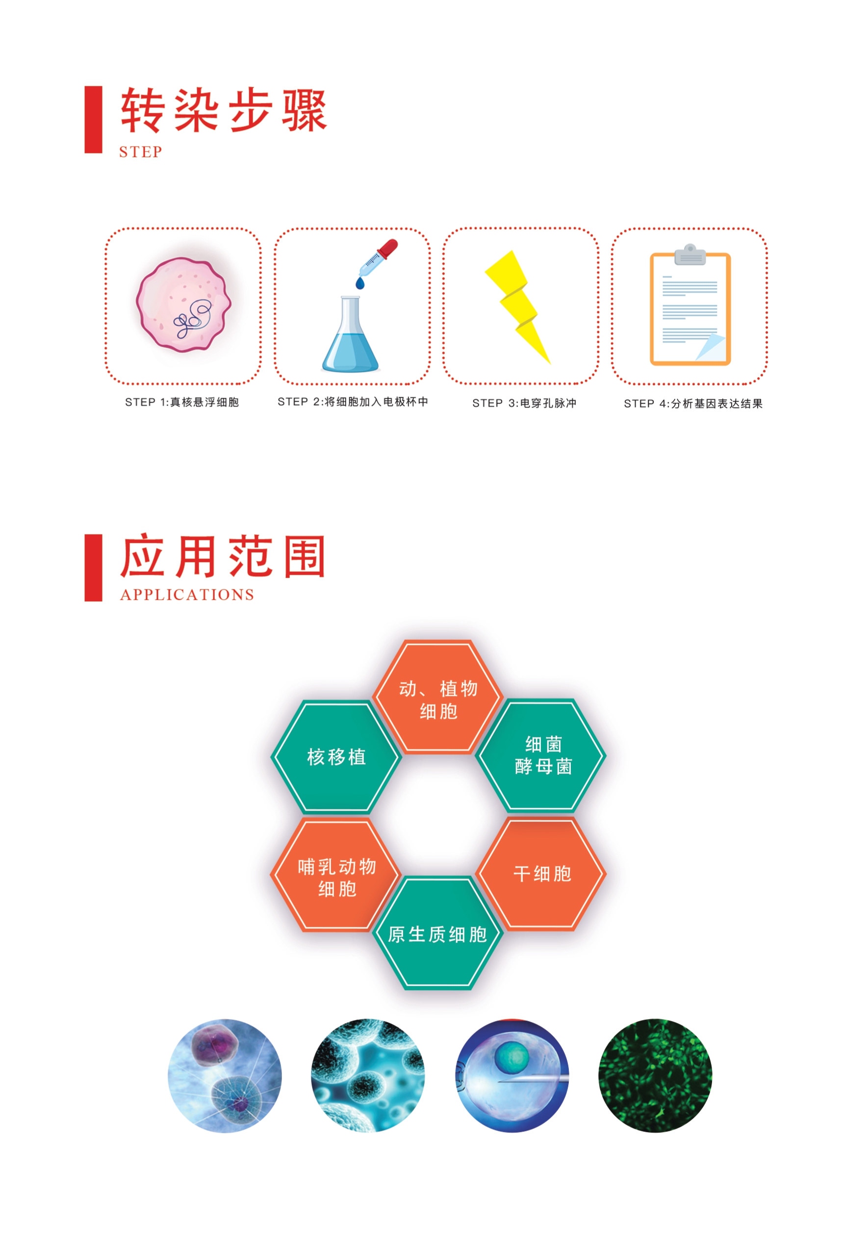 指数波电转仪配套电转座实拍